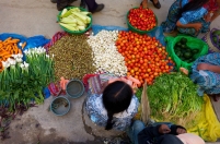 No Dia das Cooperativas, ONU lembra seu papel fundamental para o desenvolvimento sustentável No Dia das Cooperativas, ONU lembra seu papel fundamental para o desenvolvimento sustentável