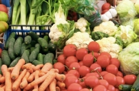 Agricultores angolanos especializam-se em cultivo de hortaliças no Brasil