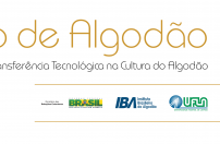 O Brasil ofertará curso de Algodão para profissionais de África