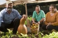 Cooperativas da agricultura familiar terão cursos de gestão administrativa