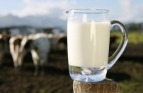 Cooperativismo perde com duplicidade na tributação