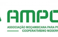  Associação Moçambicana de Promoção do Cooperativismo Moderno quer regulamento 'urgentemente'