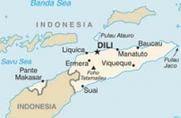 Timor-Leste: Exportação de café aumentou nos últimos dois anos