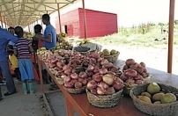 PAPAGRO gera controvérsia no Chinguar