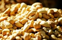 Castanha de caju do Piauí será destaque nas cidades-sede da Copa do Mundo