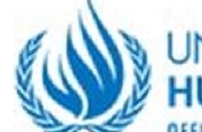 Sudão do Sul à beira de uma catástofre - Navi Pillay Sudão do Sul à beira de uma catástofre - Navi Pillay